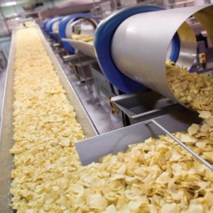 Food Handling Belts