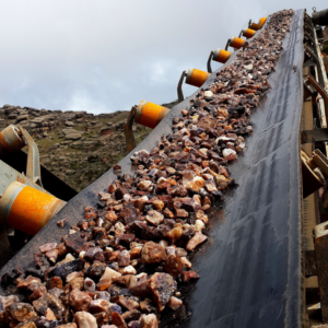 Straight Warp Conveyor Belts