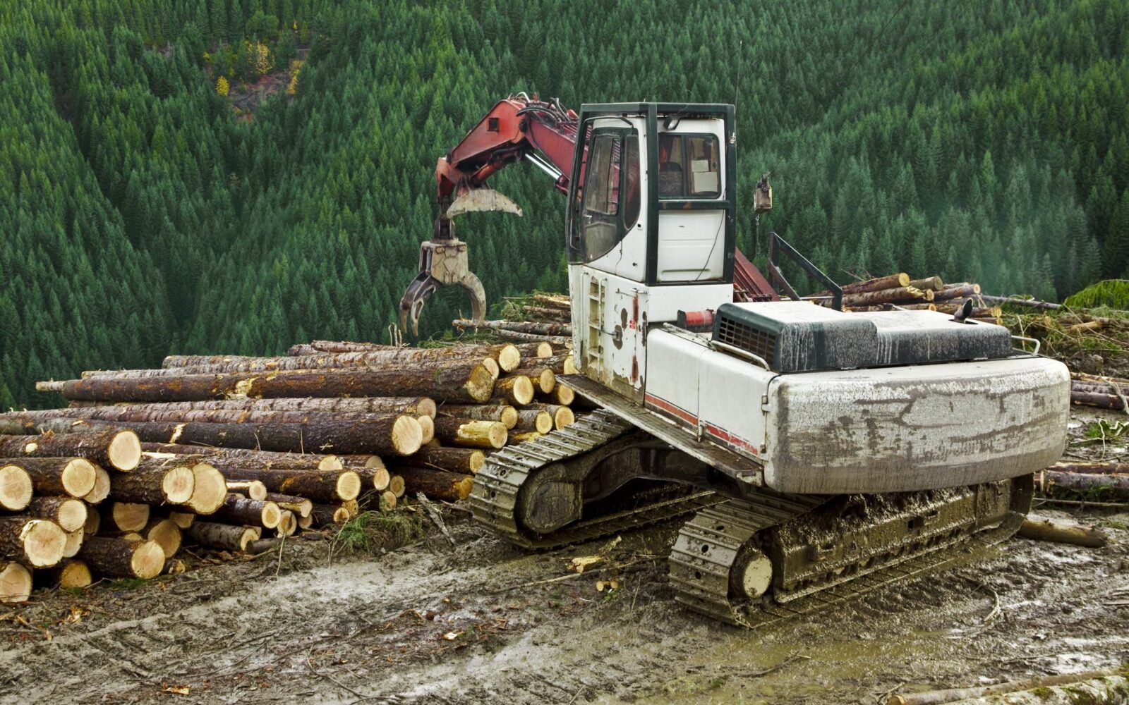 Hydraulic System Demands in the Forestry Industry