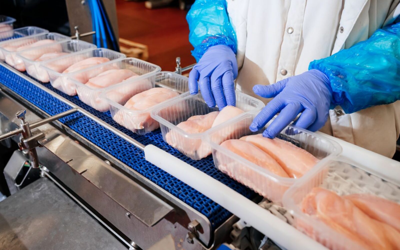 Optimizing Food Production in Maine with High-Performance Lightweight Conveyor Belts