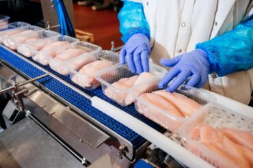 Optimizing Food Production in Maine with High-Performance Lightweight Conveyor Belts